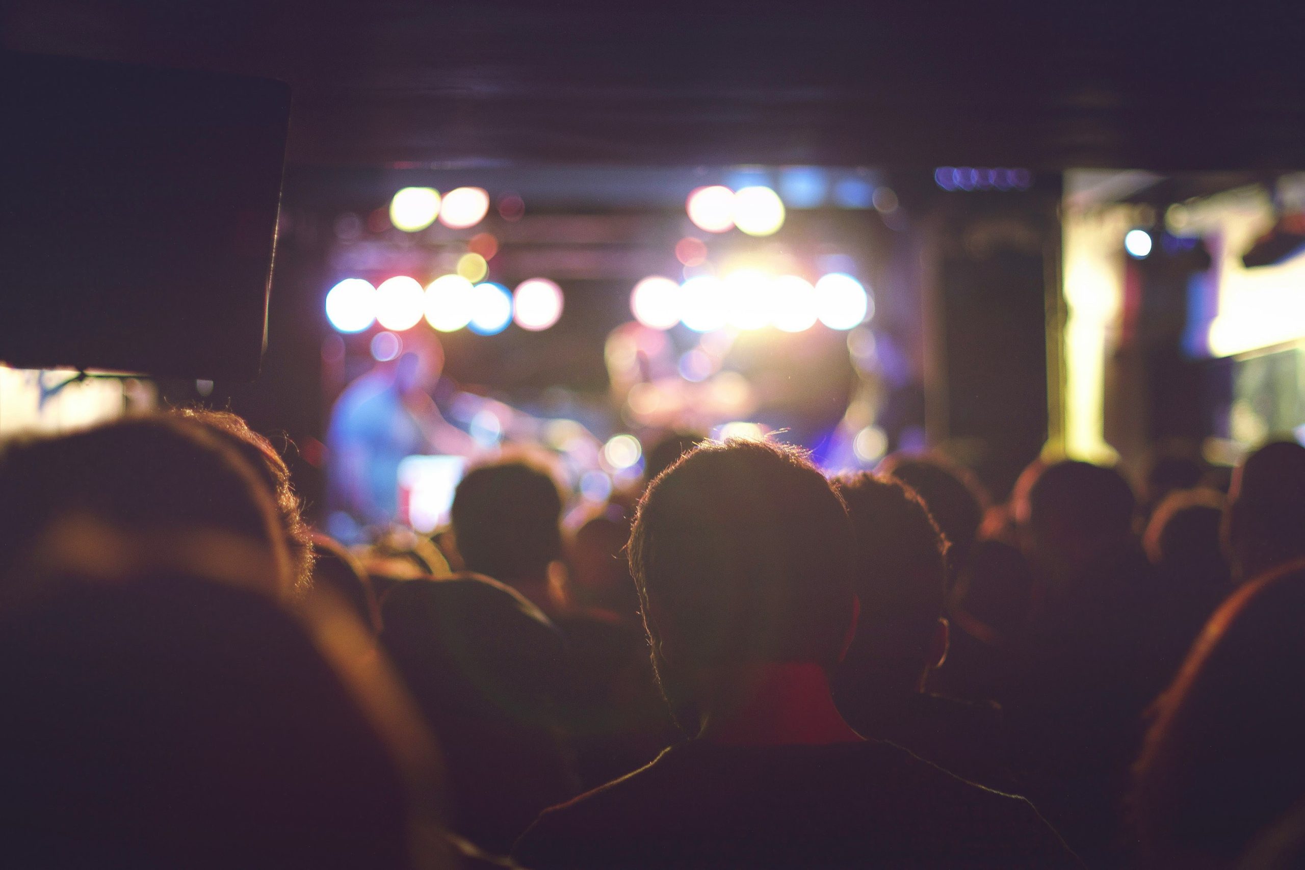 Particolare folla di spalle che assiste a un evento